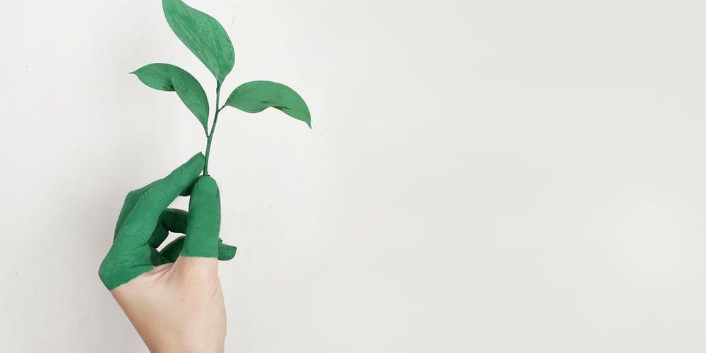 Green Home Improvement Ideas