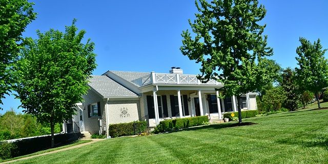 Fertilize your lawn to Foster New Growth